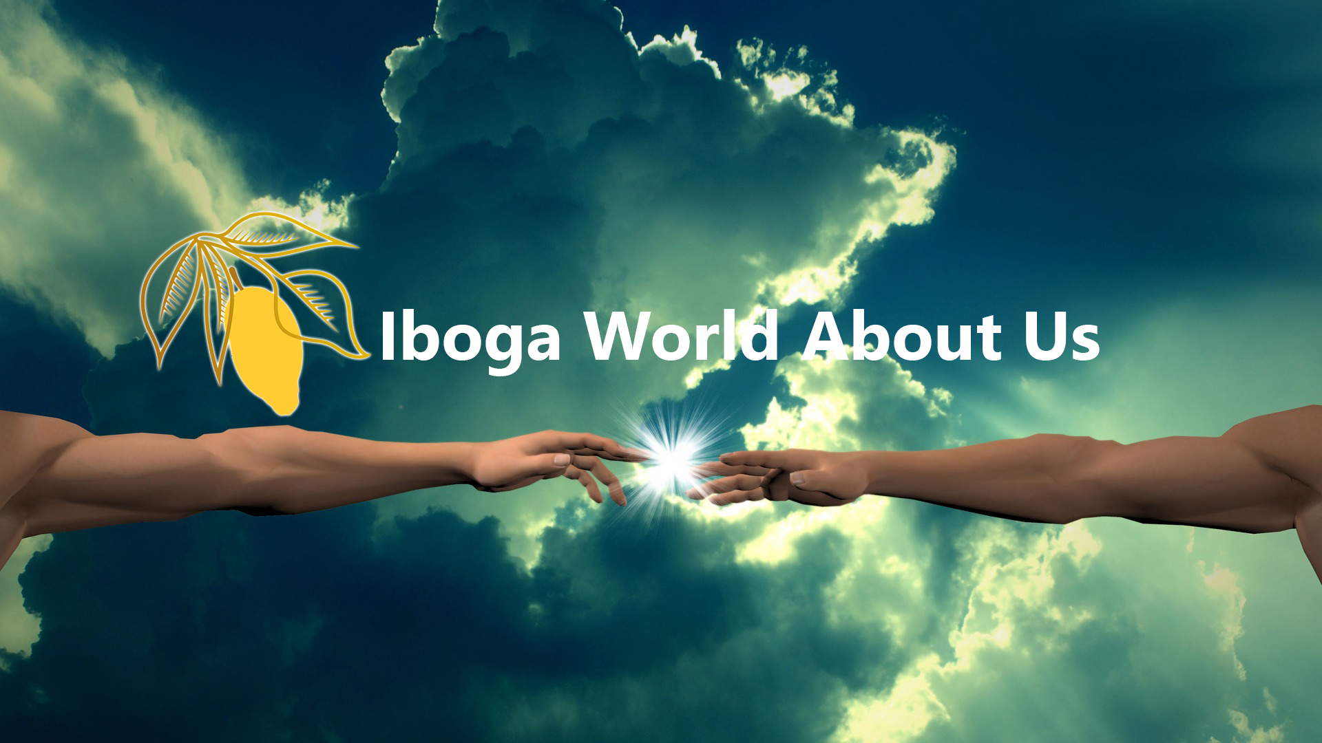 Iboga World About Us