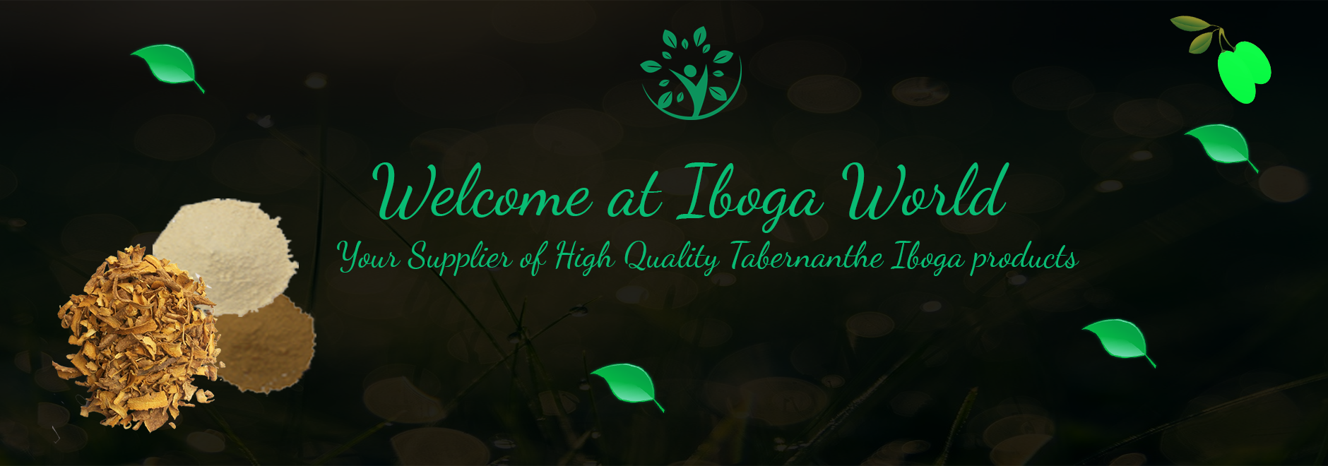 welcome at iboga world your supplier of high quality tabernanthe iboga products