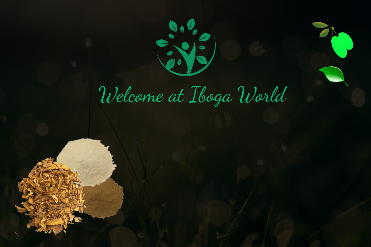 welcome at iboga world